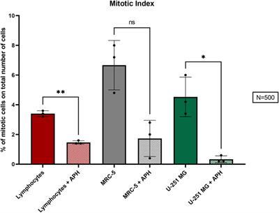 Characterization of Chromosomal Instability in Glioblastoma